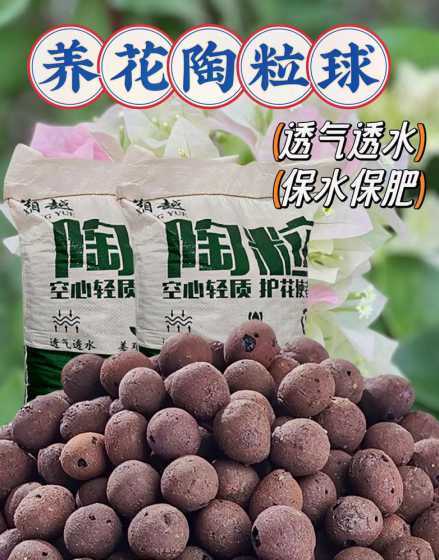 养花用土圆球球是什么 花盆上面的圆的小颗粒是什么