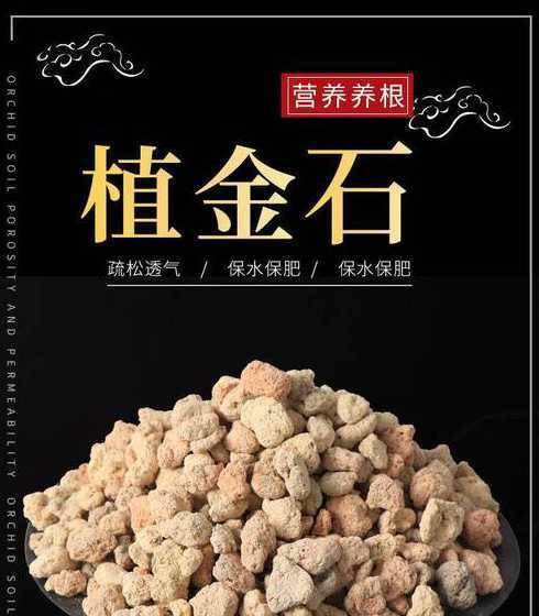 兰花植料放什么石头好 养兰花用什么石头