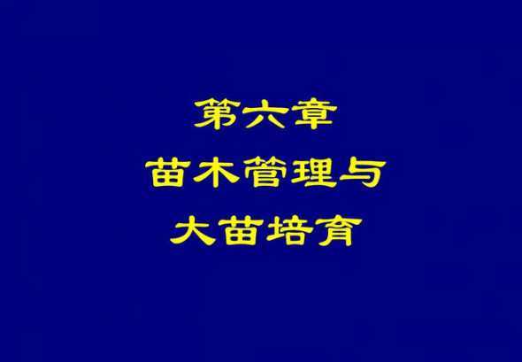培育大苗的管理有哪些 花木类大苗的培育要点有什么
