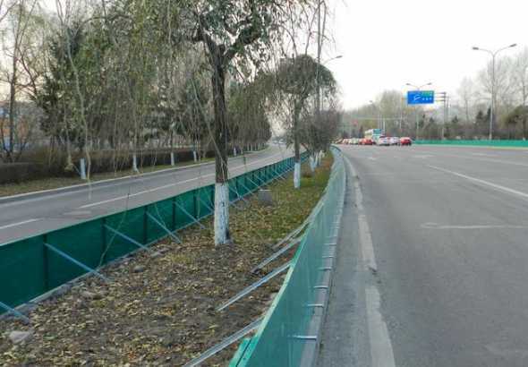 绿篱防寒什么时候进行 冬青树什么时候种植最佳时机存活率最高呢