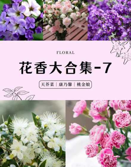 发货香水什么时候开花 香水兰可以入秋后种植吗大概什么时候会开花