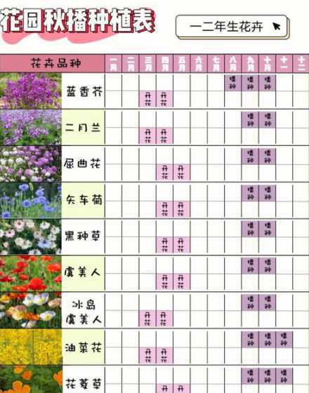 初秋什么时间给花浇水 什么时候给花浇水好