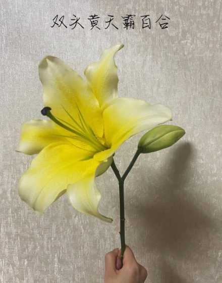 鲜花百合怎么样开花久 百合鲜花水养怎么养花期长