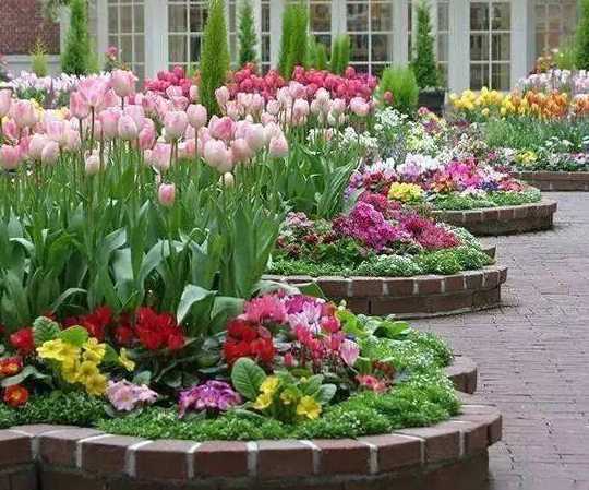 私家花园小花坛种什么 私宅花坛种什么植物较好,跟风水有关