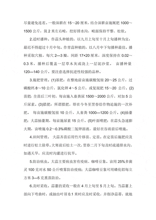 大蒜为什么一分为二栽 大蒜为什么不能盲目引种有哪些科学依据