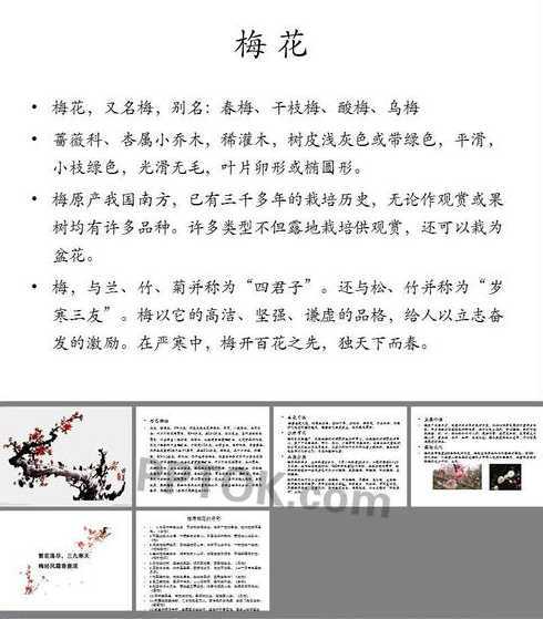 梅花的什么特点最可贵 梅花有什么特点梅花象征着什么