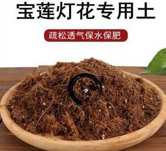 进口宝莲灯用什么土好 宝莲灯用什么土最好
