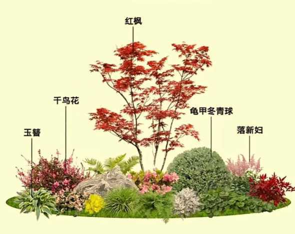 花境的分类方式有哪些 花卉的分类方法有哪些