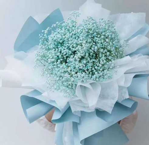 进口满天星鲜花怎么养 满天星鲜花怎么保存