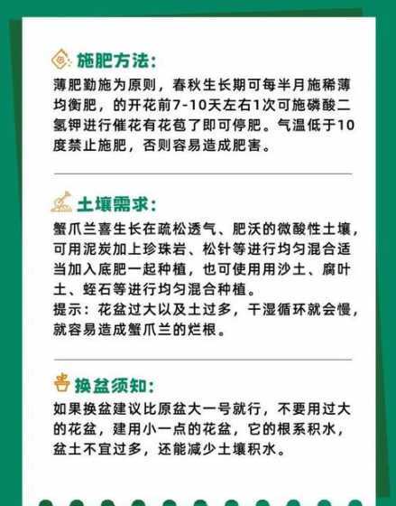 冬季养蟹爪兰怎么浇水 蟹爪兰冬季浇水需要浇透吗