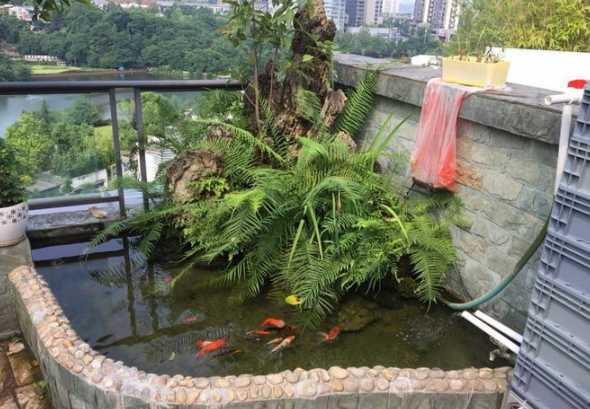 楼顶做鱼池有什么讲究 楼顶鱼池应该怎么做防水