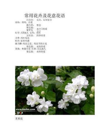 花语为什么能广泛流传 樱花花语是什么