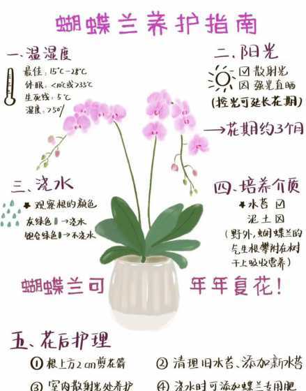 蝴蝶兰怎么养家庭养法 蝴蝶兰怎么养家庭养法(新手养蝴蝶兰的正确方法)