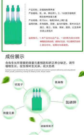 水培的花营养液怎么用 水培郁金香营养液怎么用