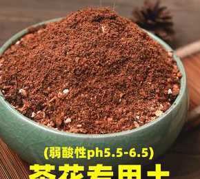 北方盆栽茶花用什么土 北方盆栽茶花用什么土怎么浇水