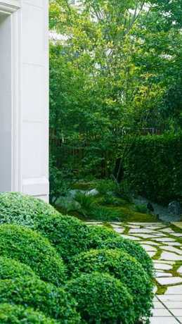 上海庭院适合种什么用 别墅庭院树种