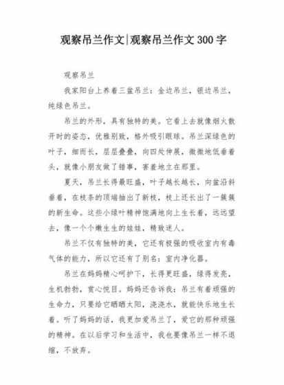 吊兰的变化应该怎么写 吊兰观察十天有什么变化讲解
