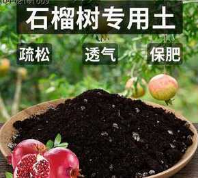 盆栽石榴种植用什么土 石榴需要什么土壤种植(适合种植石榴的土壤要求)
