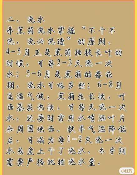茉莉花什么季节种合适 茉莉花一般在哪个季节种植茉莉花在哪个季节开花