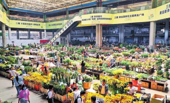 斗南花市什么时候开门 昆明斗南花市几点开市