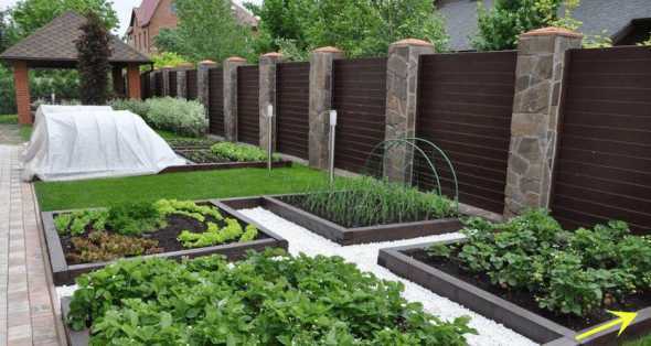 别墅花园适合种什么菜 别墅自带小花园,花园怎么设计比较好