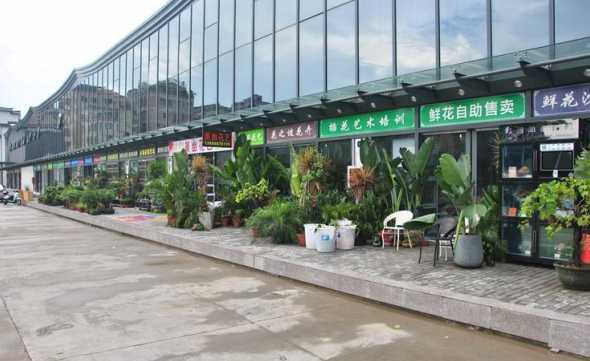 华源发苗木花卉交易市场 北京有哪些花卉市场