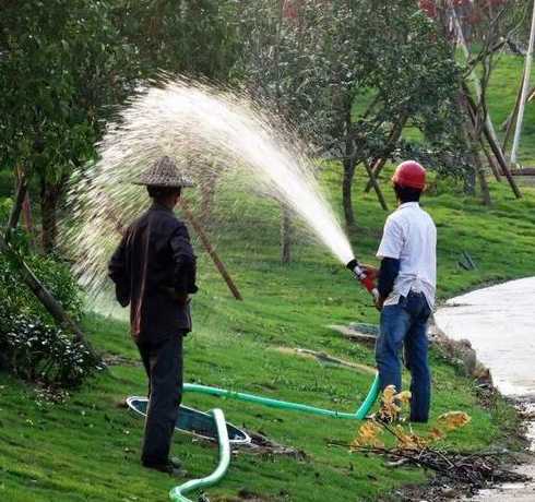 苗圃中要如何掌握浇水 如何种植樱桃树
