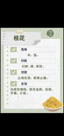 八月桂和四季桂哪个好 怎么区分月桂、四季桂和八月桂