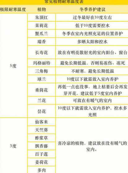 开绿植店温度要怎么样 华南农业大学怎么样