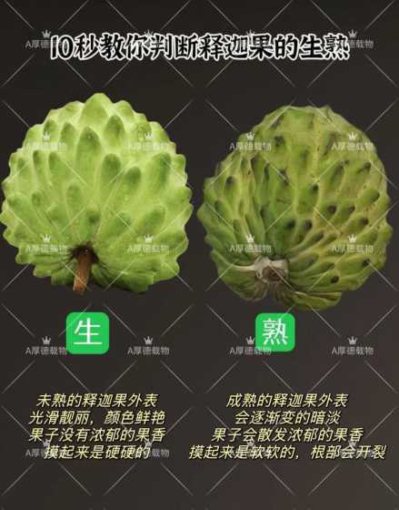怎么判断释迦果熟不熟 释迦果什么样子算熟了