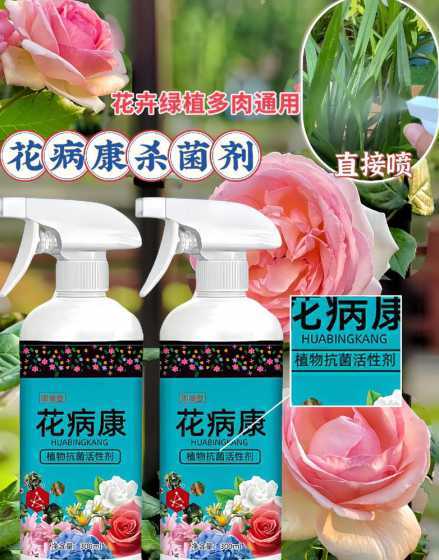 喷雾对多肉有什么作用 多肉能用营养液喷雾吗