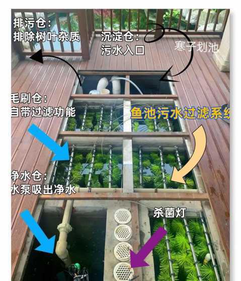 庭院鱼池如何制作过滤 庭院鱼池过滤