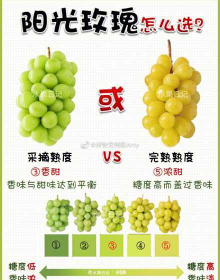 葡萄成熟时间的是什么 葡萄一般什么季节成熟