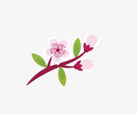 桃花的叶子涂什么颜色 桃花的叶子是什么形状