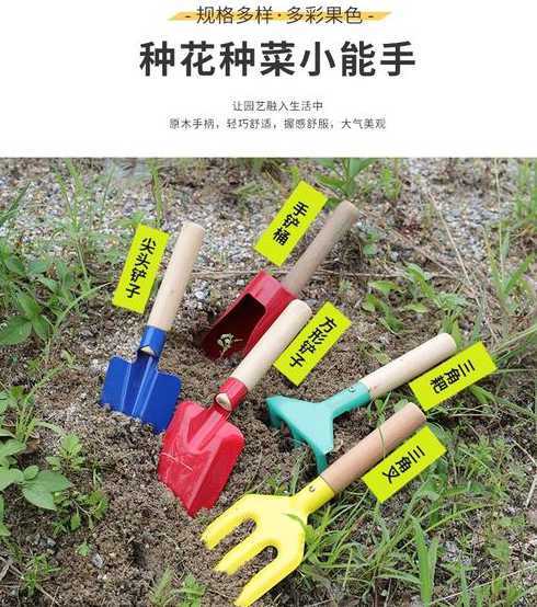 栾树栽植需要哪些工具 栾树如何栽植