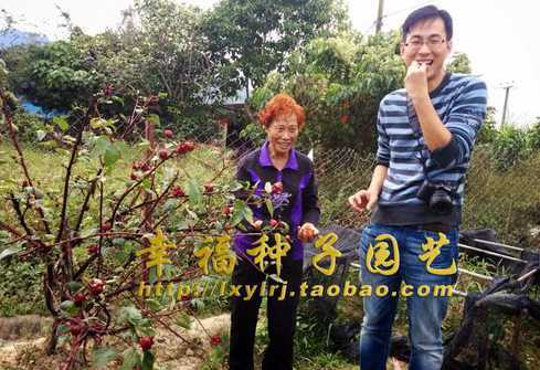 什么花种子适合广东养 什么花种的种子比较容易种植