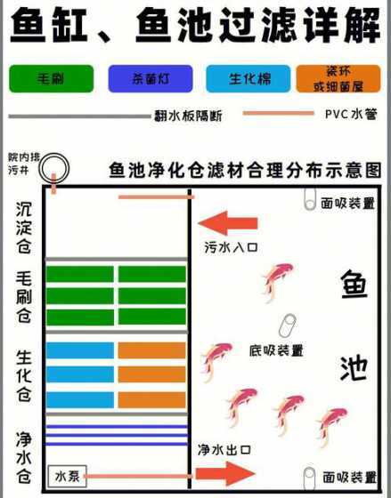 鱼池哪些过滤必不可少 鱼池过滤需要什么材料
