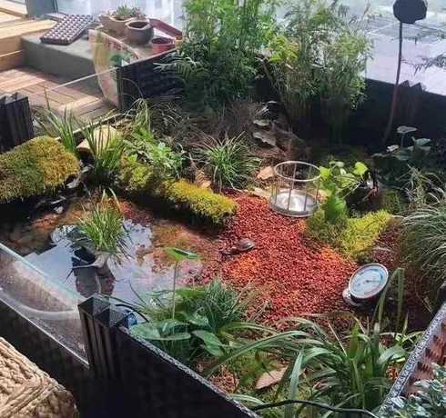 入户花园鱼池养什么龟 在入户花园做鱼池假山如何设计