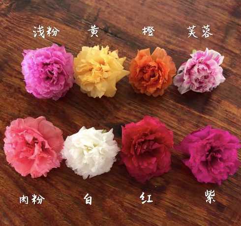四季花为什么不开花了 什么原因导致四季海棠花蕾不开花
