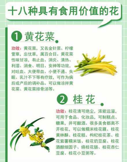 花能给人带来什么好处 花能带给人们什么