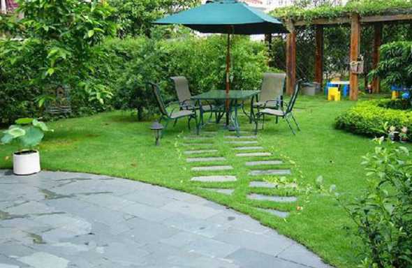 花园里种植什么草坪好 别墅花园草坪用什么草好