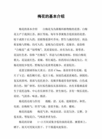梅花有什么特性和特点 梅花有什么特点和品质(梅花的主要特征讲解)