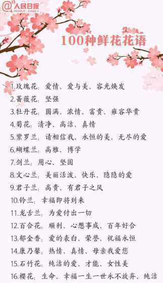 花语这名字是什么意思 茉莉花语是什么