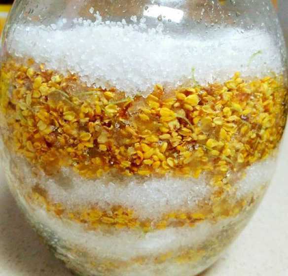 桂花怎么腌制才不发黄 桂花叶子发黄是怎么回事