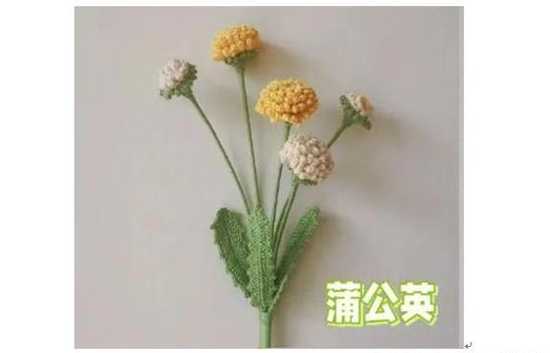 立体蒲公英花叶怎么钩 蒲公英怎么种植