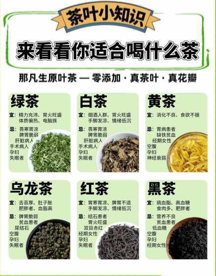 经常喝山茶有什么好处 经常喝小山茶当茶叶泡水喝有什么作用