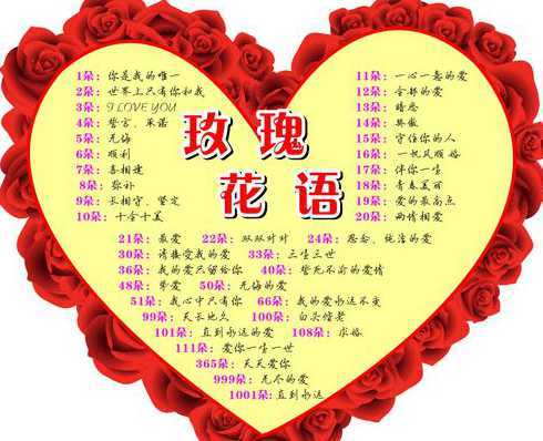 十一朵花代表什么花语 十一朵花代表什么意思
