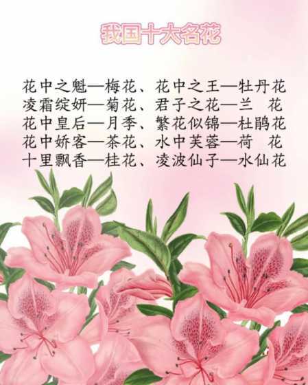 杜鹃花为什么说不吉利 家里为什么不放杜鹃花镇宅最吉利的三种花