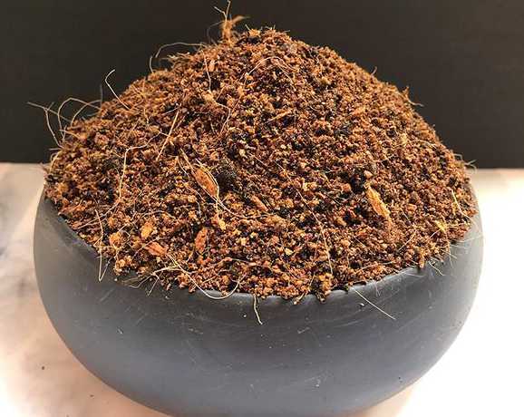 养殖梅花的土用什么土 梅花用什么土栽好,栽培梅花盆景怎样配土