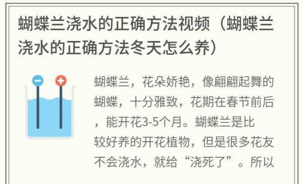 蝴蝶兰冬天怎么样浇水 蝴蝶兰冬季怎样浇水